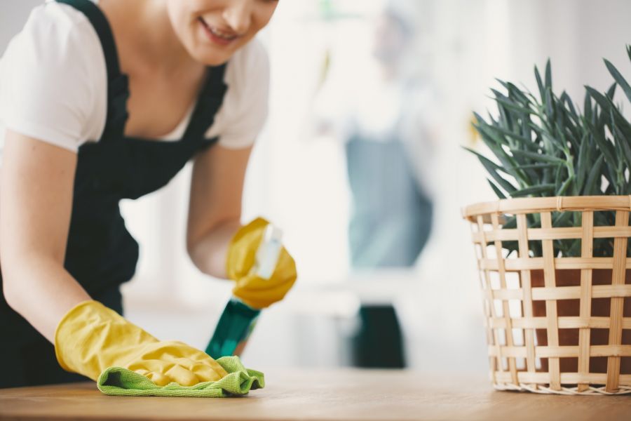 Green Cleaning by Life Maid Easy LLC