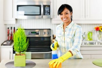 House Cleaning by Life Maid Easy LLC